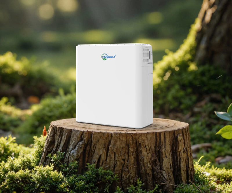 SJ-OX1C portable O2 concentrator