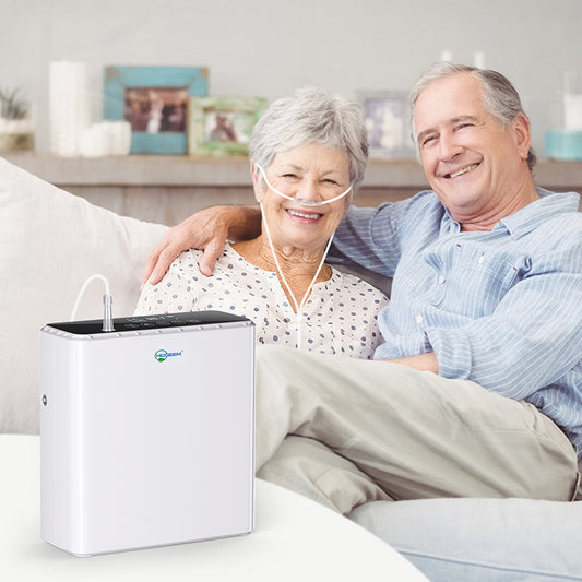 Hidgeem SJ-OX1C 1-6L Adjustable Continuous Flow Battery Portable Oxygen Concentrator