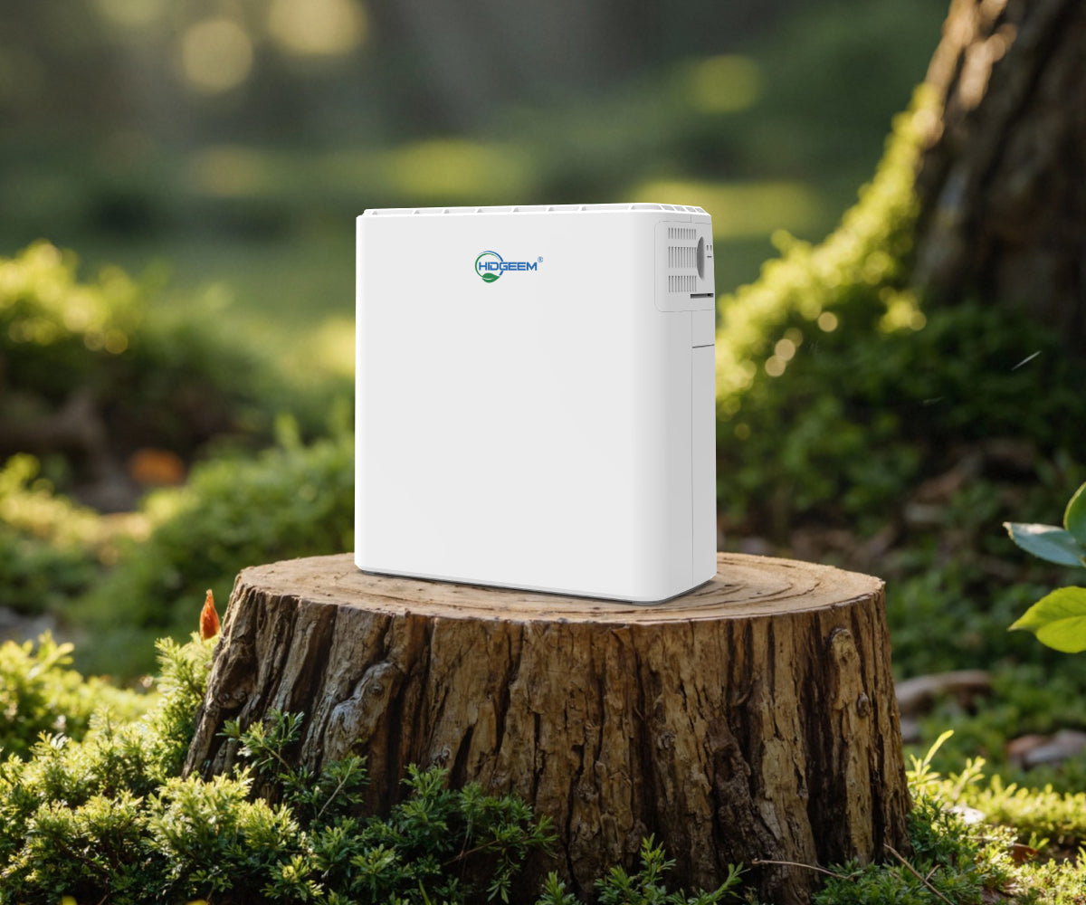 HIDGEEM portable oxygen machine